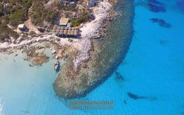 13603413_562441357260609_4328040882352170199_o