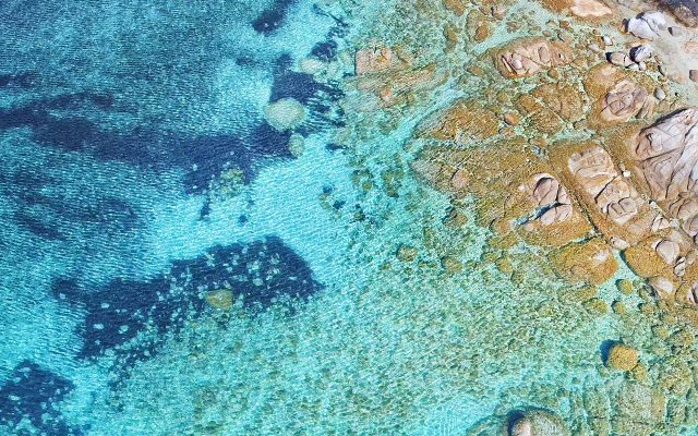 17434755_678427045662039_1003462624681637265_o