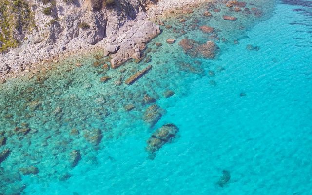 17434950_678421102329300_3456720865617866281_o