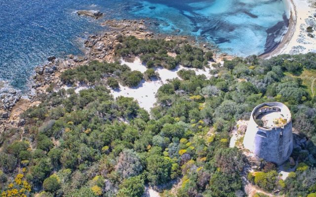 17436165_678690598969017_4176719269128208618_o